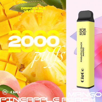 70G 6.5ML Disposable Vape Pen Choose Large Battery 950Mah Battery